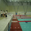 加盟クラブのための水泳大会　第15回東京水泳フェスティバル