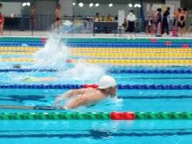 2024東京水泳フェスティバル （加盟員対象大会）※加盟と同時申込可