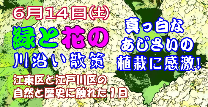 緑と花の川沿い散策 約8km 開催しました